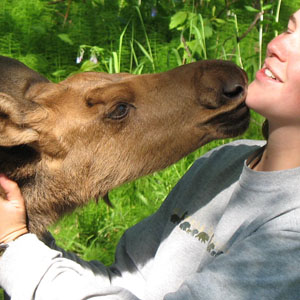 Scholarship student with a baby moose