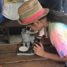Looking at a macro invertebrate through a microscope